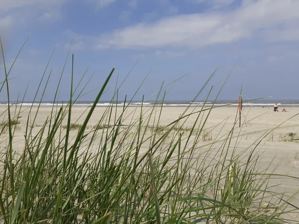 Bild 1: Nationalpark Niedersächsisches Wattenmeer